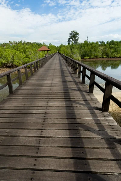 Indonesian maisema kävelytie — kuvapankkivalokuva