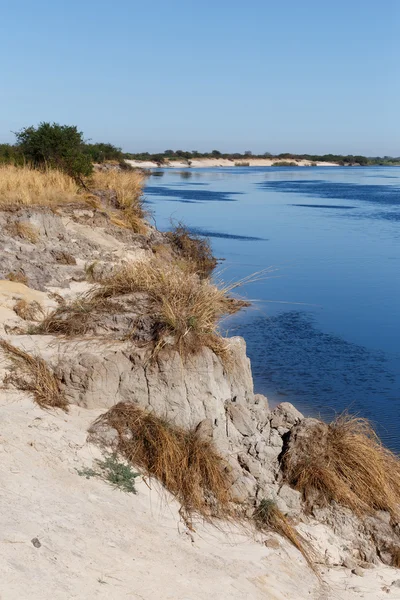 Bank van de zambezi rivier — Stockfoto