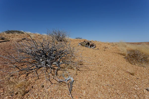 Fantrastic namibia deserto paisagem — Fotografia de Stock