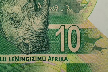 sout Afrika rand detay