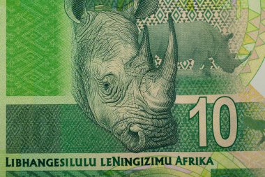 sout Afrika rand detay