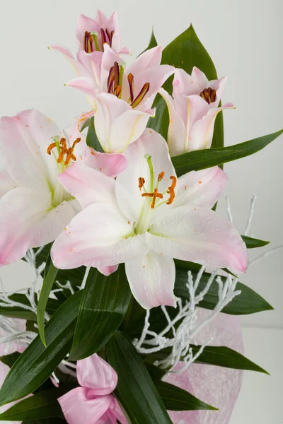 Bouquet of pink lily flower — Stock Photo, Image