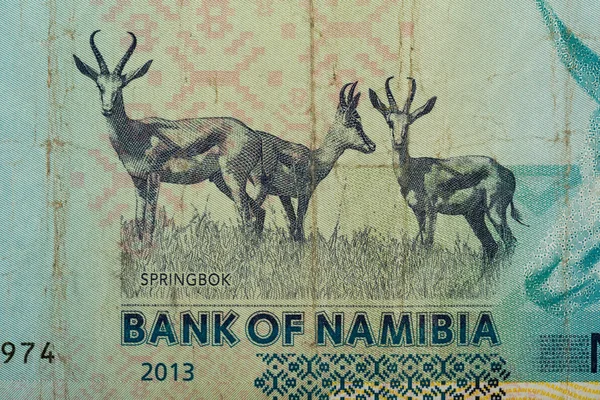 Detail 10 Namibie dolarů bankovek — Stock fotografie