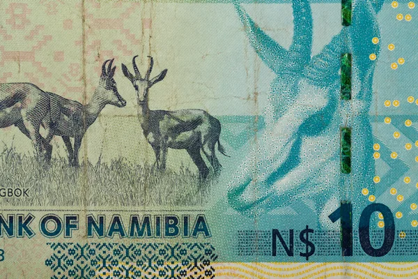 Detail 10 Namibie dolarů bankovek — Stock fotografie