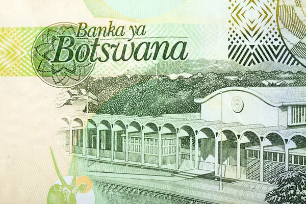 10 博茨瓦纳普拉钞票的细节 — 图库照片