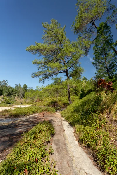 Zwavelhoudende meren nabij Manado, Indonesië — Stockfoto