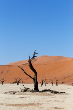 Ölüm Vadisi Sossusvlei güzel manzara