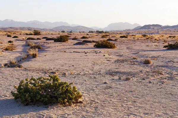 Fantastic Namibia desert landscape — Stock Photo, Image