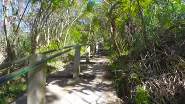 Boven wandelen in de natuur naar vulkaan — Stockvideo