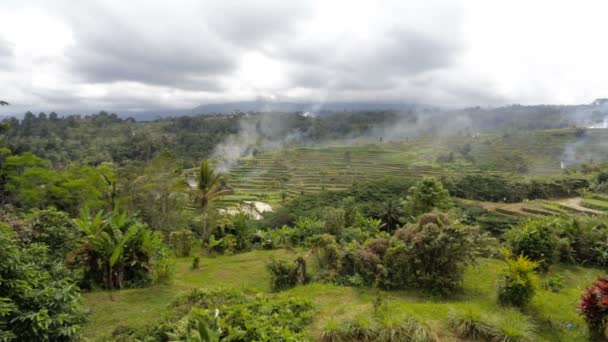 Rijst terrasvormige rijstvelden in Centraal Bali, Indonesië — Stockvideo