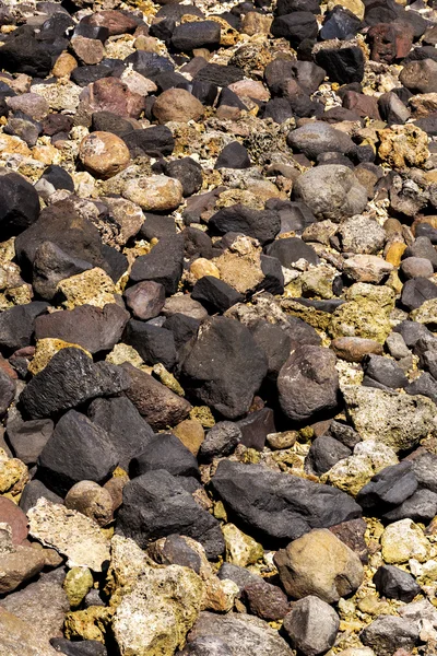 Pierres et corail à marée basse, indonésie — Photo