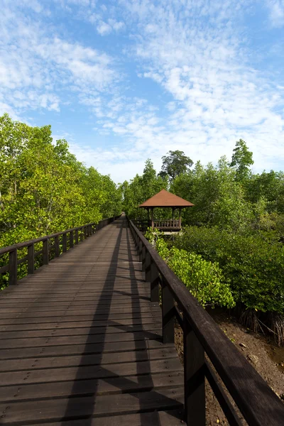 Paisaje indonesio con manglar y pasarela —  Fotos de Stock