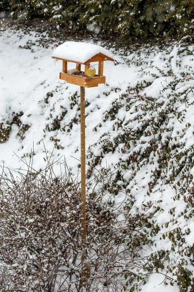 Basit kuş Besleyici — Stok fotoğraf