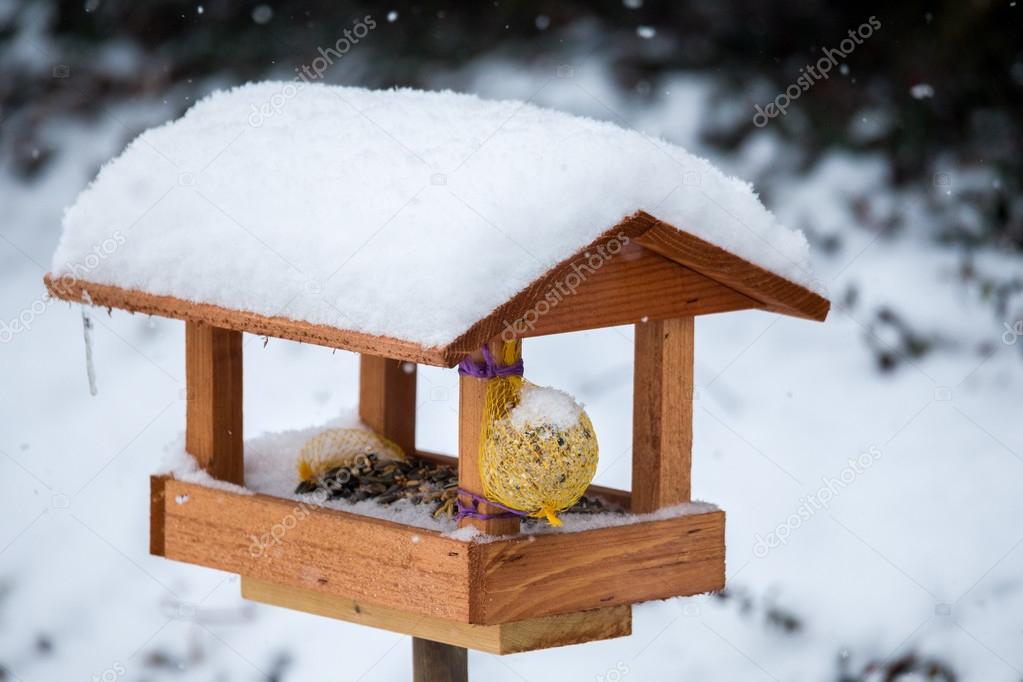 simple bird feeder