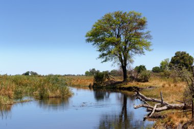 Nehri, Afrika yatay