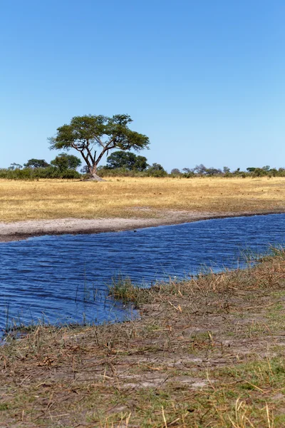 강 아프리카 풍경 — 스톡 사진