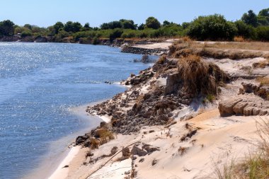 zambezi Nehri kıyısında