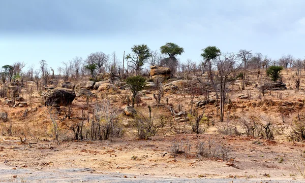 Hwankee nationalpark landskab - Stock-foto