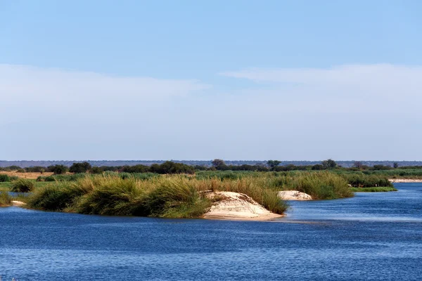 Riva del fiume Zambesi — Foto Stock