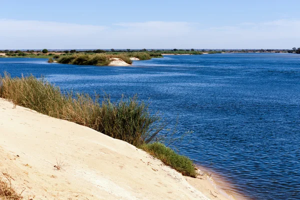 Banco do rio zambezi — Fotografia de Stock