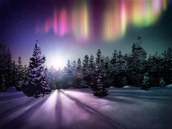Luces boreales sobre campo Fotos de stock
