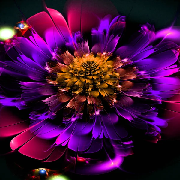 불가사의 타오르는 프랙털 모양의 꽃입니다 판타지 프랙탈 디자인은 포스터 티셔츠를 — 스톡 사진