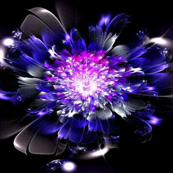 Fiore Luminoso Astratto Fiori Frattali Futuristici Design Fantasy Frattale Poster — Foto Stock