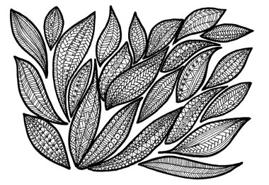 Tasarım veya boyama kitapları için vektör doodle çiçek öğeleri