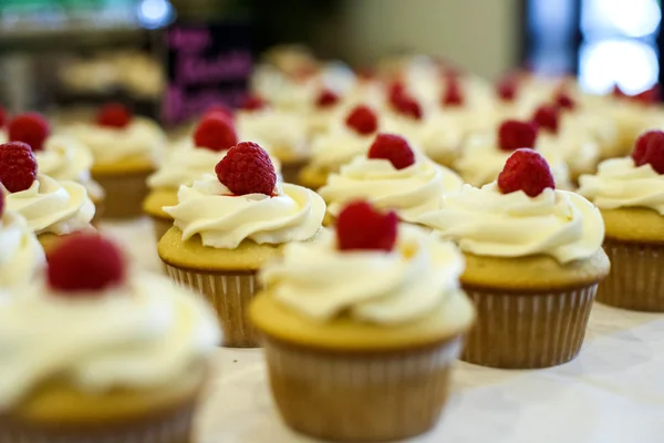 Cupcakes — Fotografia de Stock