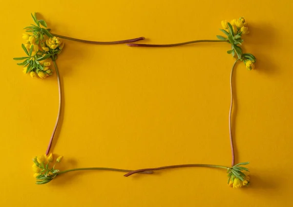 Esta Una Idea Para Una Postal Primavera Pequeñas Flores Amarillas — Foto de Stock