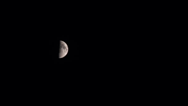 Moon in the black sky — Stock Video