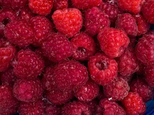 Raspberries — Stock Photo, Image