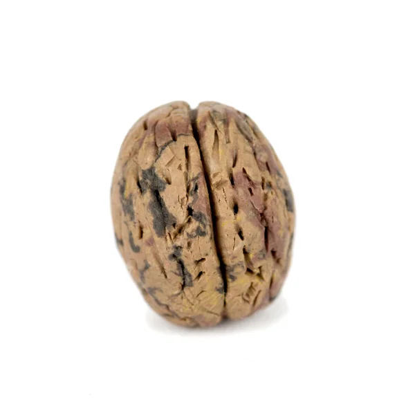 A Plasticine walnut — Stock Photo, Image