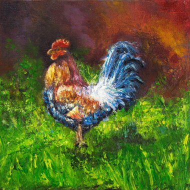 Rooster.Domestic kuş