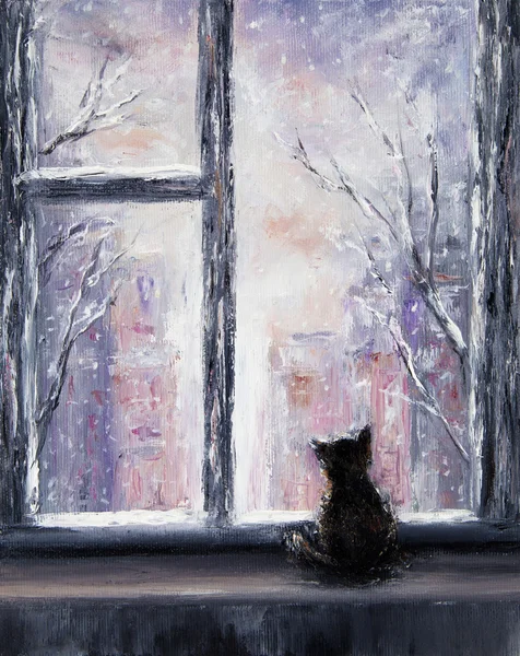 Gato e invierno — Foto de Stock