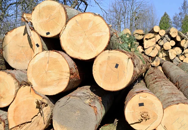 Preparation and wood warehousing in an industrial landscape. — Stock Photo, Image