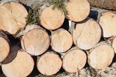 Hazırlık ve ahşap depo endüstriyel bir peyzaj.