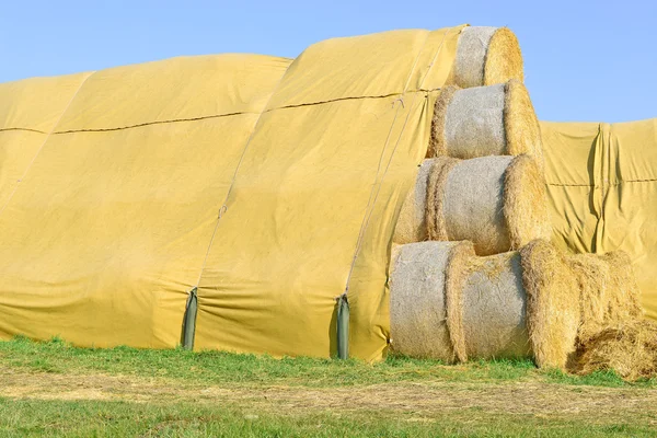 Bales of straw on the ground storage under the tent — Stock Photo, Image