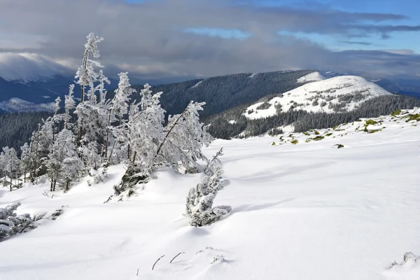 Invierno en una ladera en un paisaje de montaña —  Fotos de Stock