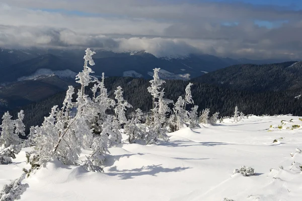 Зима на склоне холма в горном пейзаже — стоковое фото