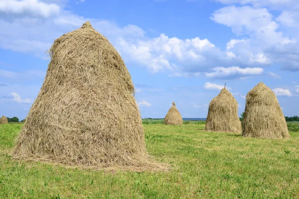 El heno en las pilas en el paisaje veraniego rural —  Fotos de Stock