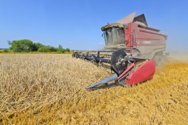 Grain harvesting combine in a rural landscape. clipart