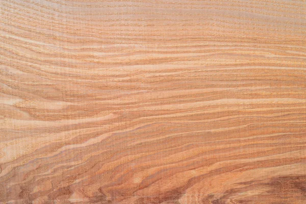 Kayın Ahşap dokusu 
