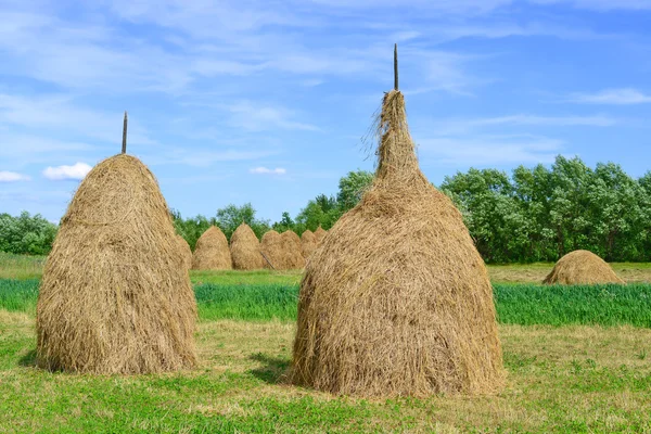 El heno en las pilas en el paisaje veraniego rural —  Fotos de Stock