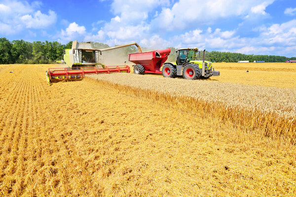Overloading grain harvester into the grain tank of the tractor trailer