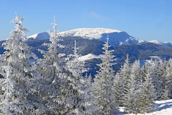 Invierno en una ladera en un paisaje de montaña —  Fotos de Stock
