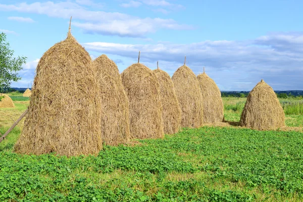 El heno en las pilas en el paisaje veraniego rural —  Fotos de Stock