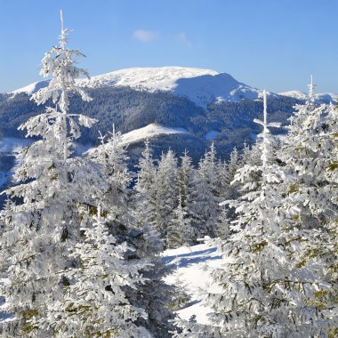 Bir dağ manzarası içinde bir yamaca kış