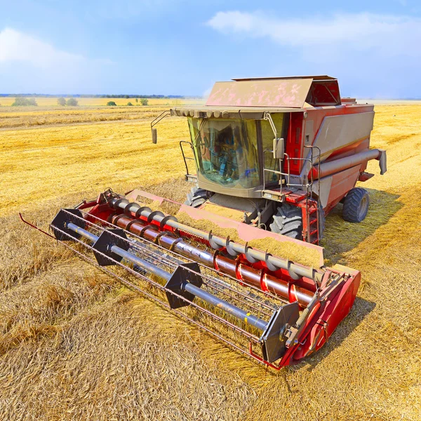 Grain harvesting combine in a rural landscape. — Stock Photo, Image