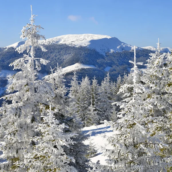 Invierno en una ladera en un paisaje de montaña — Foto de Stock